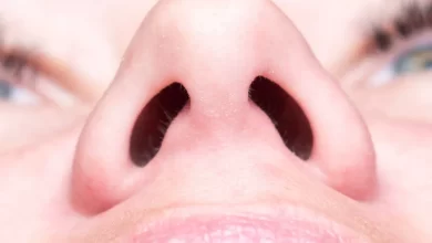 چرخه عجیب بینی افشا شد؛ بدن ما با چرخه_ای هوشمند نفس می_کشد