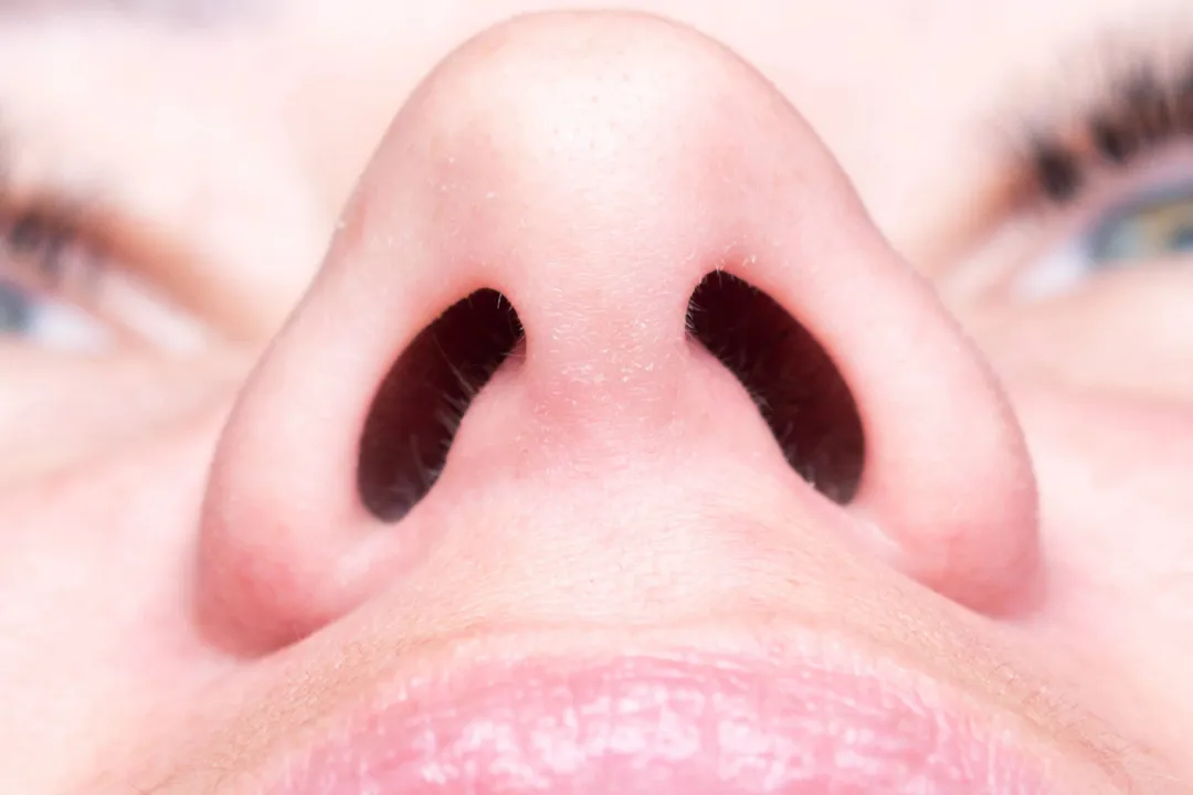 چرخه عجیب بینی افشا شد؛ بدن ما با چرخه_ای هوشمند نفس می_کشد