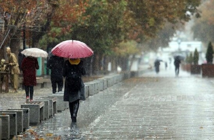 کارشناس هواشناسی