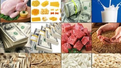 کالابرگ کافی نیست؛ موج تورم با حذف ارز ۲۸,۵۰۰ تومانی چگونه کنترل شود؟