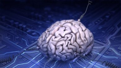 سلول‌های انسانی