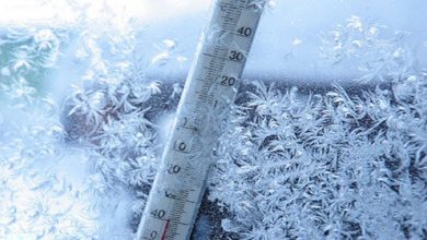 یخبندان سراسری