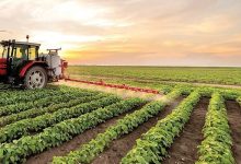 کسری تراز تجاری کشاورزی