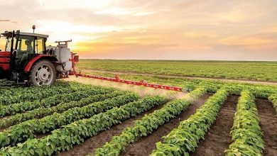 کسری تراز تجاری کشاورزی