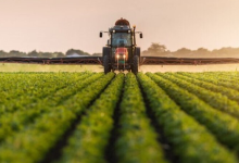 متقاضیان اقدام