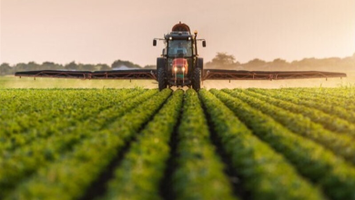 متقاضیان اقدام