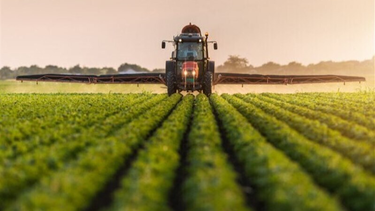 متقاضیان اقدام