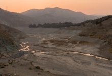 برداشت بی‌رویه‌