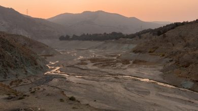 برداشت بی‌رویه‌