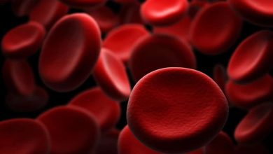 تمرکز و انرژی