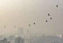 هم‌اکنون ناسالم