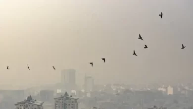 هم‌اکنون ناسالم