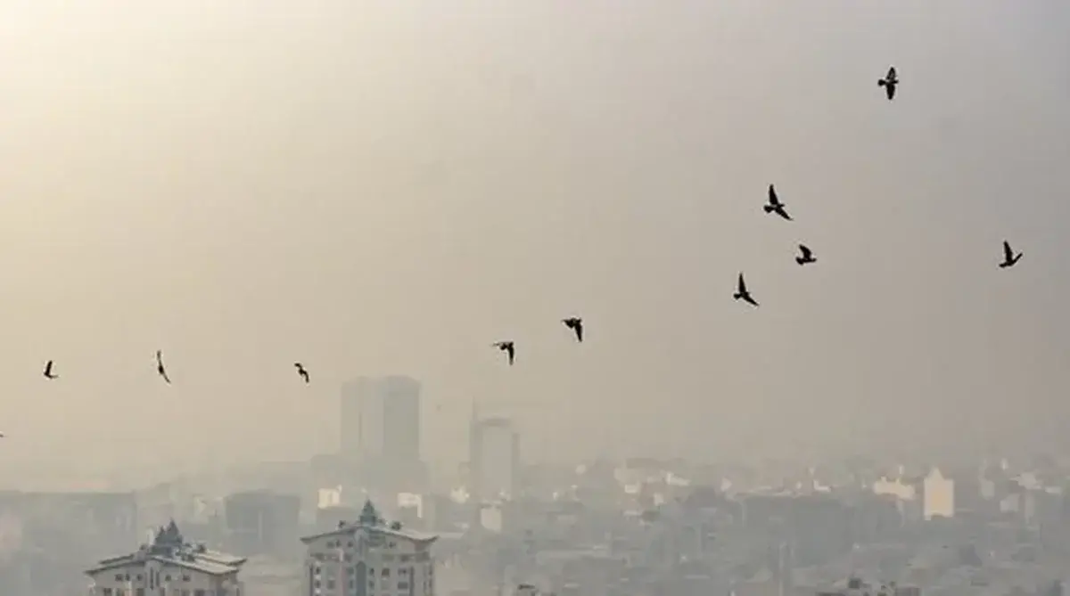 هم‌اکنون ناسالم