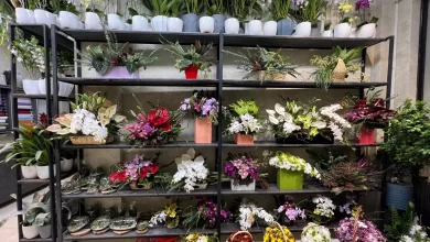 گل‌های محبوب روز مادر