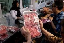 چالش‌های جدی در تأمین گوشت؛ قیمت‌ها به شدت افزایش خواهد یافت