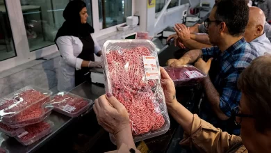چالش‌های جدی در تأمین گوشت؛ قیمت‌ها به شدت افزایش خواهد یافت