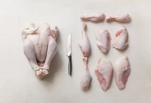 مرغ رکورد زد