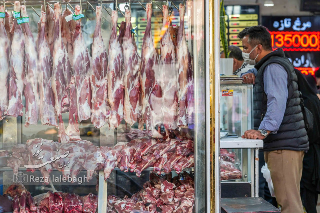 گوشت وارداتی