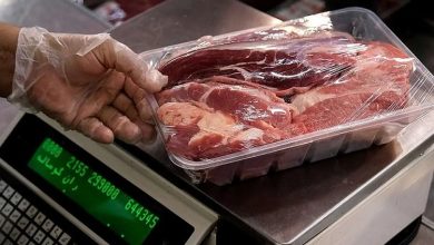 گوشت وارداتی