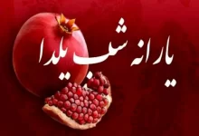 یارانه ویژه شب یلدا