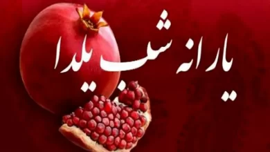 یارانه ویژه شب یلدا
