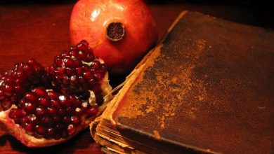 پشت پرده طولانی‌ترین شب سال: راز «تولد مجدد خورشید» در قلب زمستان