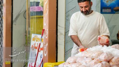 آینده تأمین مرغ و تخم‌مرغ