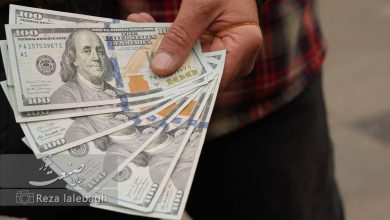 تأکید مقام دولتی: نرخ 112,500 تومان، اقدام موقتی برای کنترل قیمت‌هاست