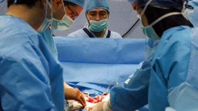 اعضای بیمار مرگ مغزی به ۷ نفر در مشهد اهدا شد