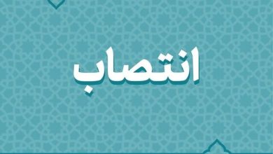 صندلی ارزی همتی