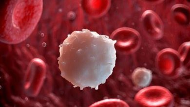 این میوه قاتل چربی خون است