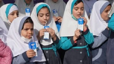 پیشنهاد تغذیه‌ای