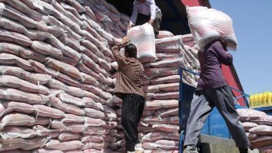 توزیع ۵۴۰ تن برنج تنظیم بازار در استان کرمانشاه