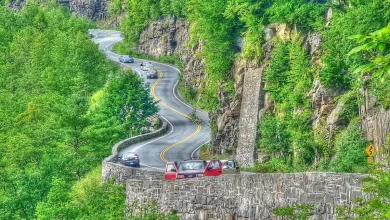 جاده چالوس آمریکایی؛ هاوکز نِست نیویورک با هر پیچ نفس‌ها را می‌گیرد