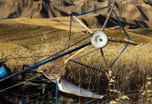 اعلام نگرانی از قیمت خرید تضمینی گندم؛ جو گران‌تر از گندم شد