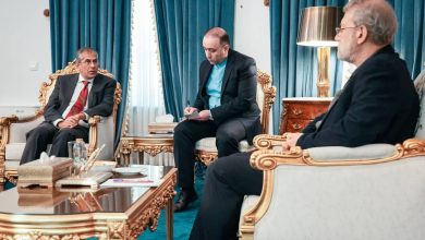 لاریجانی و معاون مشاور امنیت ملی هند