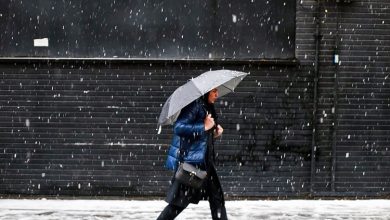 سازمان هواشناسی