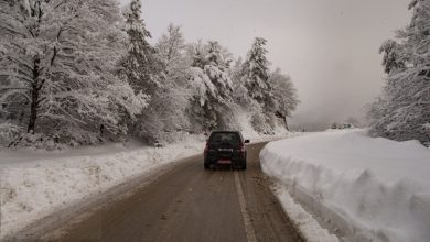 سازمان هواشناسی