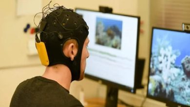 سن بروز اختلالات شناختی در ایران به ۴۰ سال رسیده است