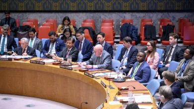 شورای امنیت سازمان ملل