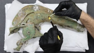 شیپور بودیکا زنده شد؛ کامل‌ترین صدای ترس عصر آهن کشف گردید