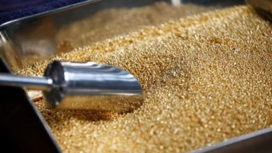 طلای جهانی سقوط کرد