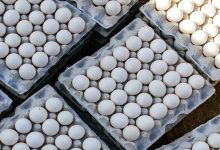 قیمت تخم‌مرغ