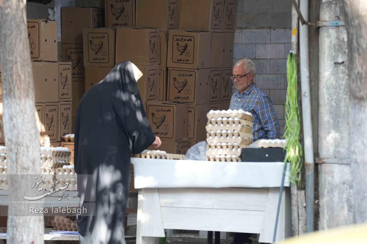 قیمت تخم‌مرغ