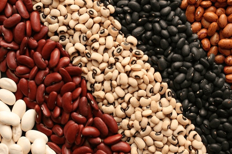 قیمت حبوبات