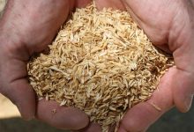 بخش صنف و صنعت