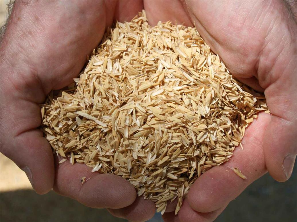 بخش صنف و صنعت