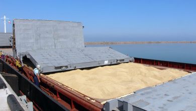 واردات گندم