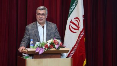 وزیر بهداشت از اختصاص کارانه به معاونت درمان دانشگاه‌های علوم پزشکی خبر داد