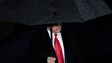 کارهای ترامپ بی‌قاعده‌ است